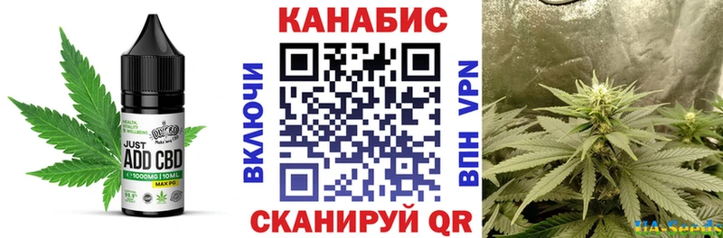 kraken как зайти  Нефтекамск  Canna-Cookies марихуана  мориарти Telegram  купить  цена 