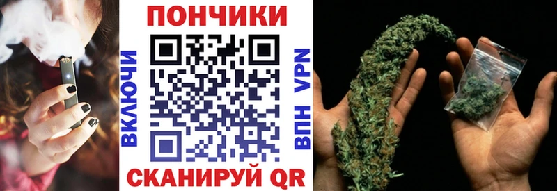 Бошки марихуана гибрид  цены наркотик  Нефтекамск 